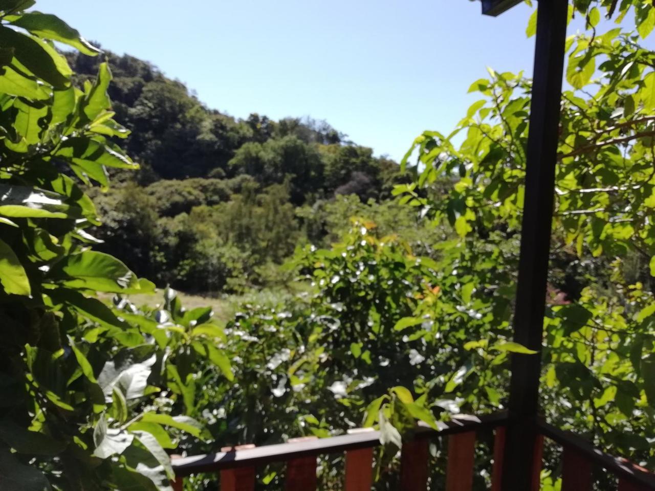 Bed and breakfast La Guayaba Monteverde